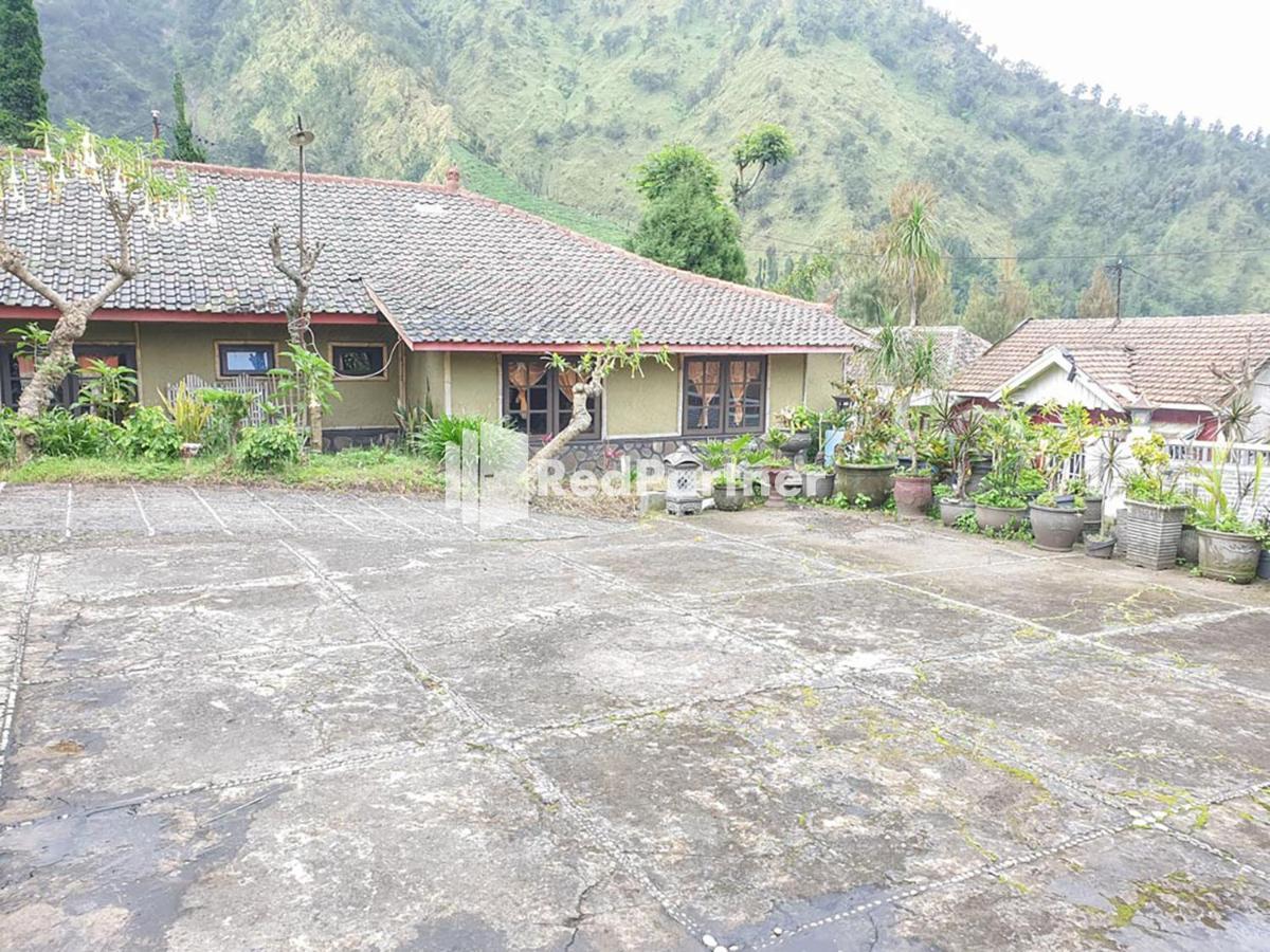 Hotel Yoschi'S Bromo At Desa Wisata Bromo Ngadisari Exteriör bild