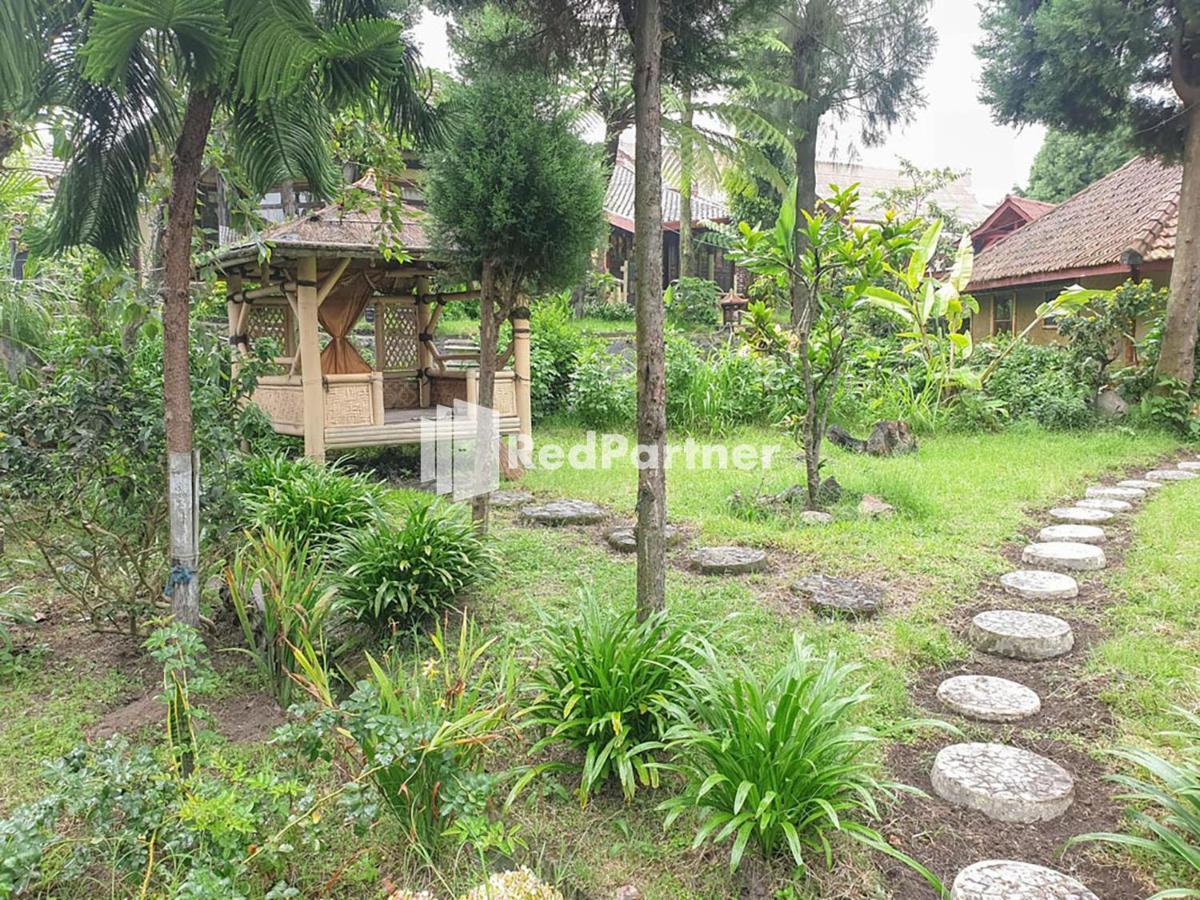 Hotel Yoschi'S Bromo At Desa Wisata Bromo Ngadisari Exteriör bild